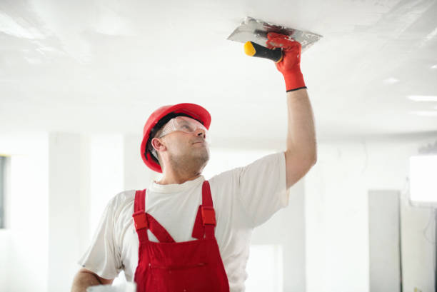 Trusted Loudon, TN Mold Removal Experts